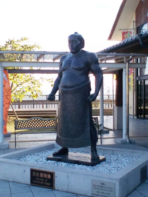 化粧まわしを着け、胸筋を強調するポーズ中。