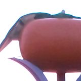 *