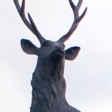 *
