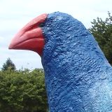 *