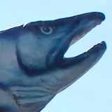 *