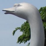 *